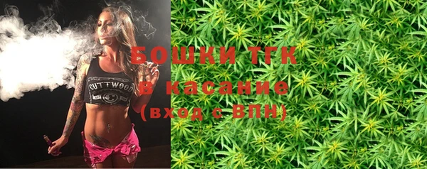 тгк Горнозаводск