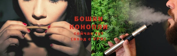 гашик Горняк
