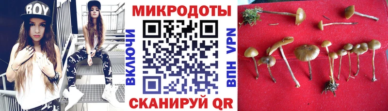 Псилоцибиновые грибы Psilocybine cubensis  hydra ONION  shop как зайти  Волоколамск 