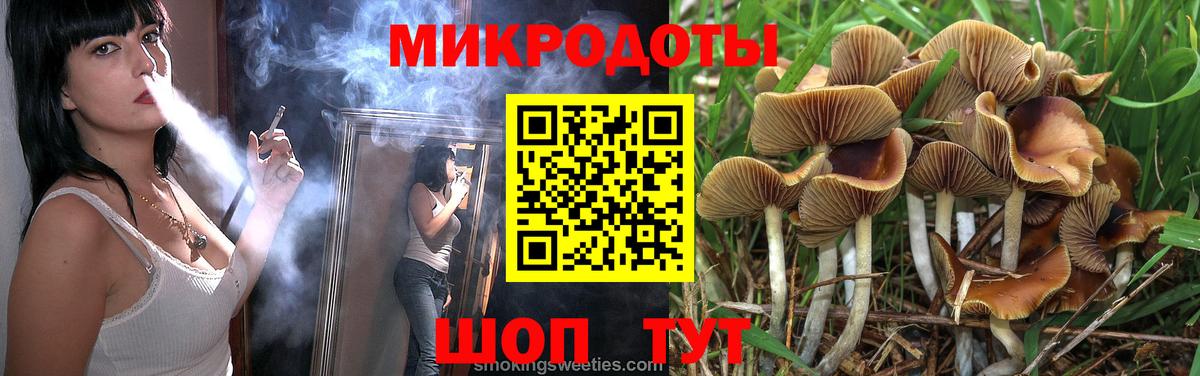 Волоколамск  сколько стоит  Псилоцибиновые грибы GOLDEN TEACHER  Вход с VPN  Галлюциногенные грибы Psilocybine cubensis 